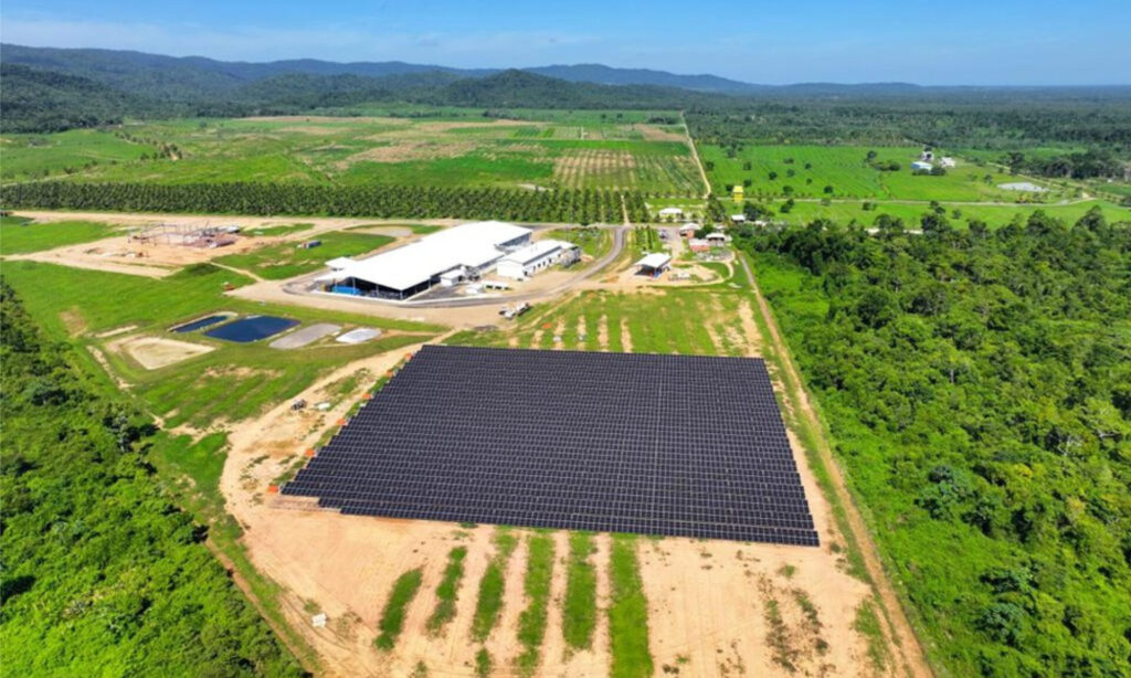 PROINSO-Solar-The-Silk-Grass-Farms-2MW-Solar-Project-in-Belize